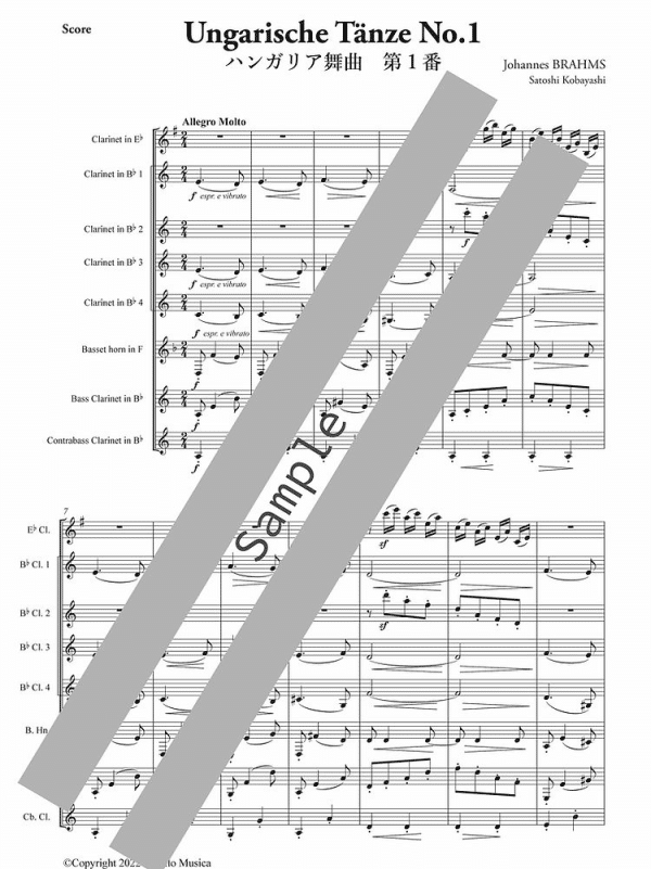 <strong>第一号匈牙利舞曲</strong><br><font size=3>Hungarian Dance No.1</font> - 图片 2